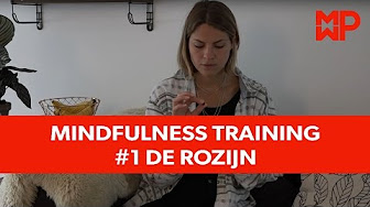 Mindfulness training #1 De rozijn